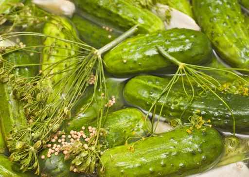 muraturi de iarna castraveti Alexandra Alexandru specialist nutritie